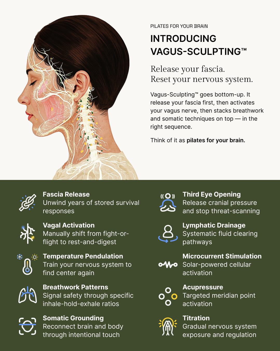 Vagus-Sculpting™ Kit