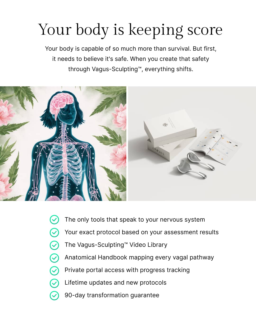 Vagus-Sculpting™ Kit