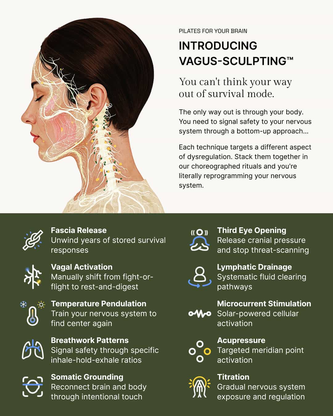 Vagus-Sculpting™ Kit